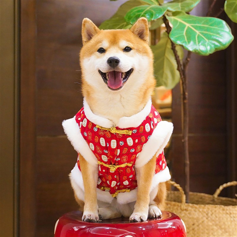 狗狗新年衣服过年喜庆毛衣唐装秋冬加绒保暖棉马甲宠物柴犬拜年装