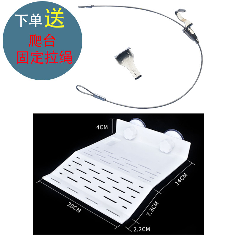 生态水道养龟乌龟缸沼泽水培过滤箱免换水周转箱鱼龟混养殖过滤器