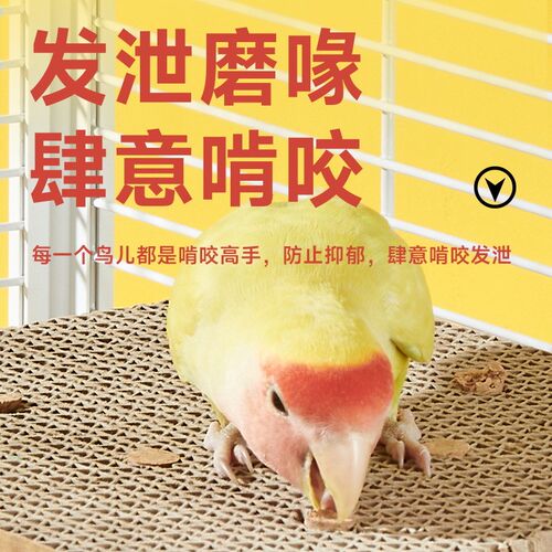 8玖-鹦鹉啃咬纸板玩具千层饼玩耍解闷肆意发泄玄凤牡丹虎皮鸟用品