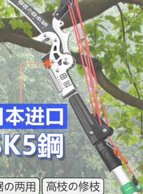 德国进口家用SK5钢高枝剪高空剪枝剪伸缩高空修枝剪超长椭圆杆剪