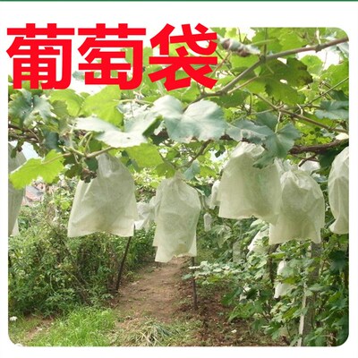 葡萄套袋专用袋半透明纸袋子树上梨果塑料果园包袋白色梨袋瓜棚