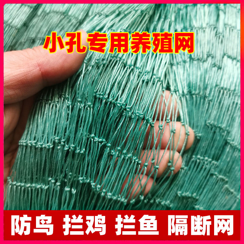 防护网尼龙进口养殖网养鸡网鸡网围栏网护栏网拦鸡网菜园网尼龙网