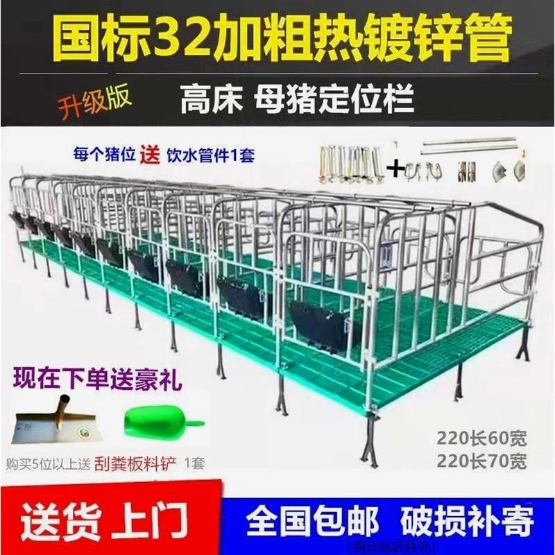 德国进口母猪定位栏2.5复合板限位栏5位10位包邮养猪养殖设备猪产