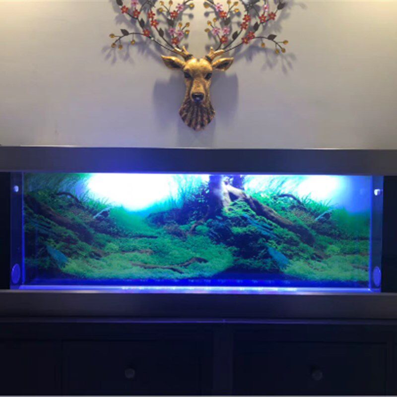 11年老店生态壁挂挂壁式鱼缸水族箱亚克力玻璃墙上挂墙墙壁鱼缸