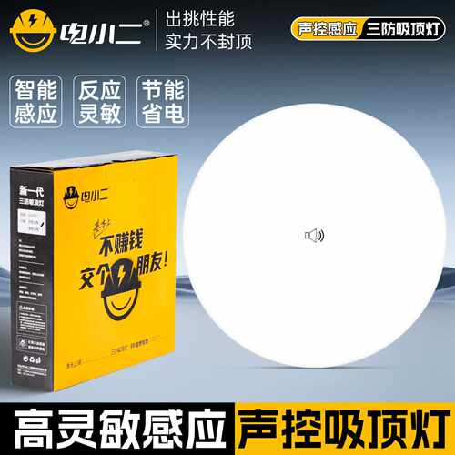 电小二led声光控吸顶灯楼梯走廊过道车库玄关阳台智能感应三防灯