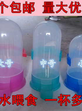 鸽子加厚水壶水槽鸟用自动饮水器下料器赛鸽喂水器信鸽用品用具