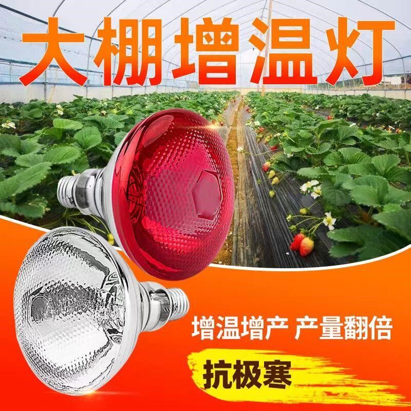 大棚增温神器室内植物光温室蔬菜火龙果草莓补光灯增温灯取暖灯