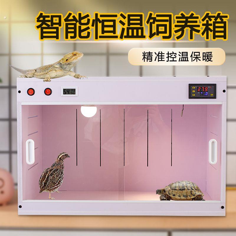 智能恒温箱爬宠守宫蜥蜴陆龟蛇蜘蛛仓鼠芦丁鸡养殖育雏保温箱加热