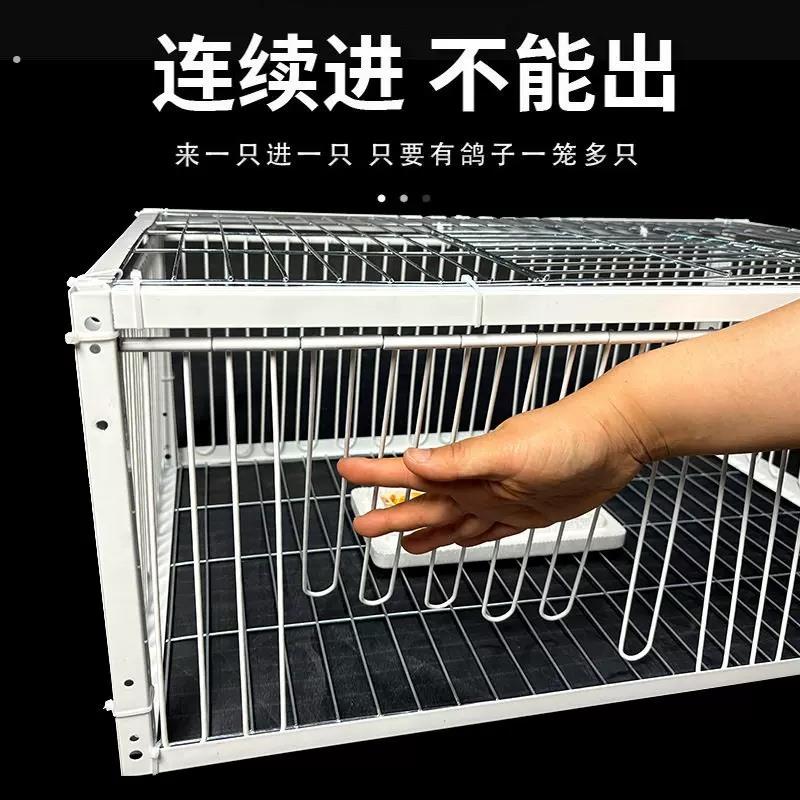 鸽子诱捕器天落笼祇进不出鸽子笼加密收鸽笼活络门户外自动收鸽器