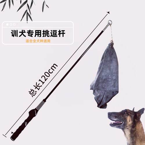 马犬逗引杆 训狗工具 训犬挑杆 逗狗棒 德牧训练 专用品 装备 训