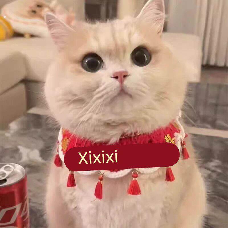 宠物陪嫁装饰猫咪结婚围脖狗狗口水巾结婚围兜装扮红色喜庆项圈