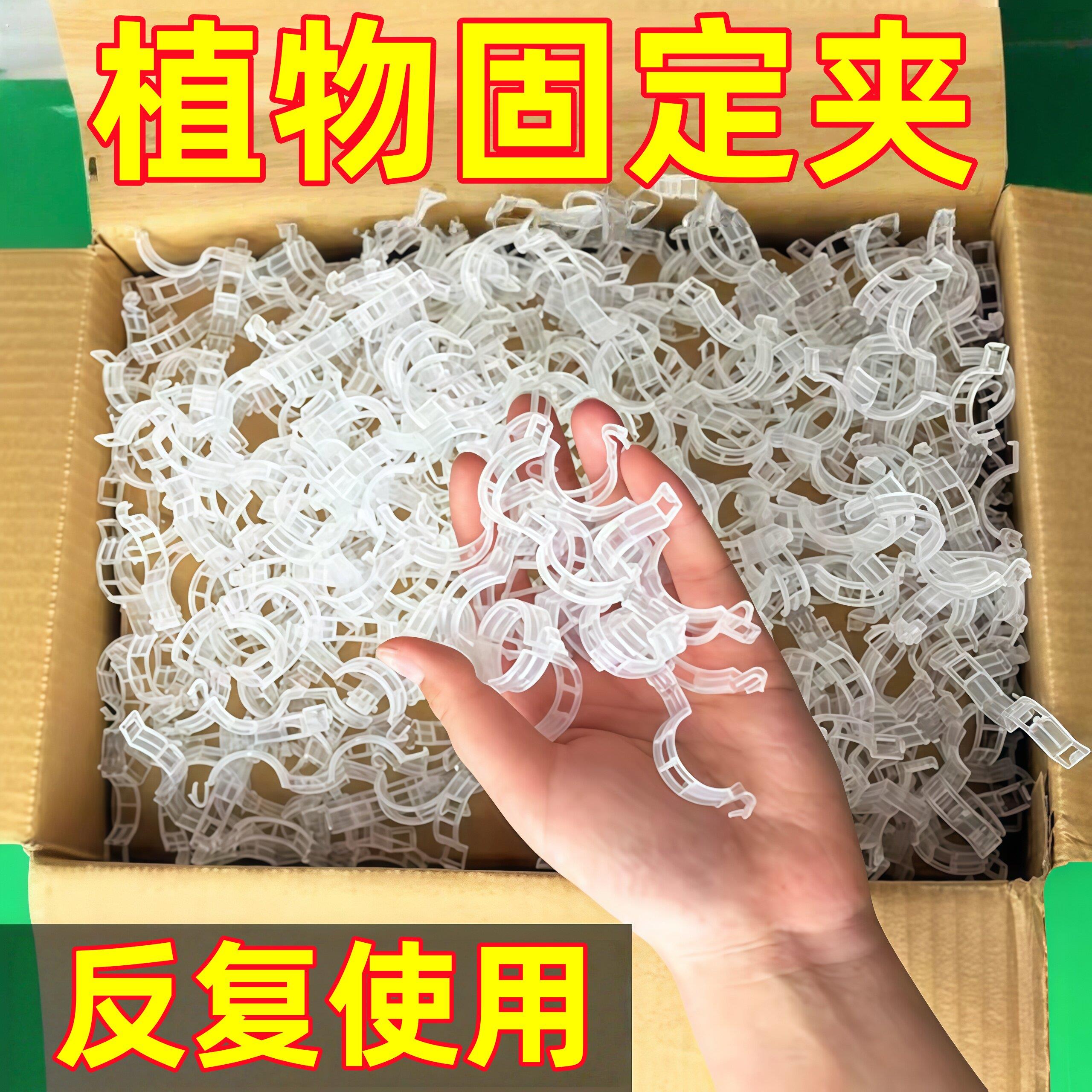 绿植果树植物固定夹卡扣藤蔓固定器秧苗爬藤支撑杆果蔬秧苗吊秧夹