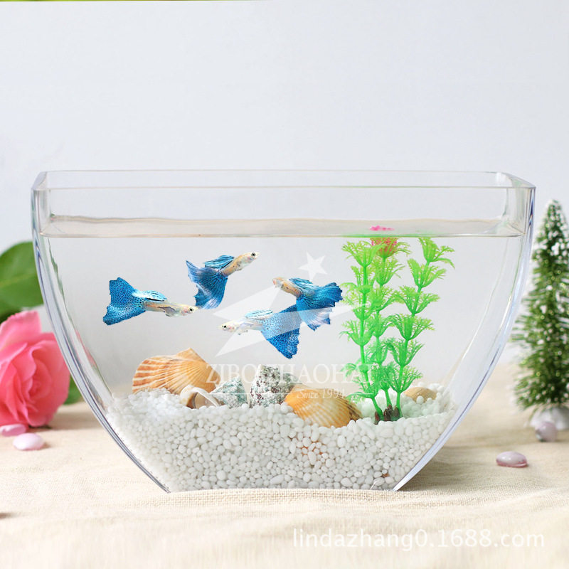 透明玻璃鱼缸半圆形扁水族生态箱桌面缸