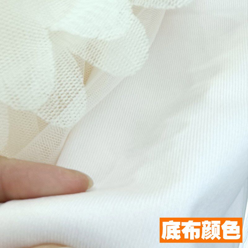 公主帘雪纺蕾丝设计感米白色布纱一体卧室窗帘遮阳不遮光装饰定制