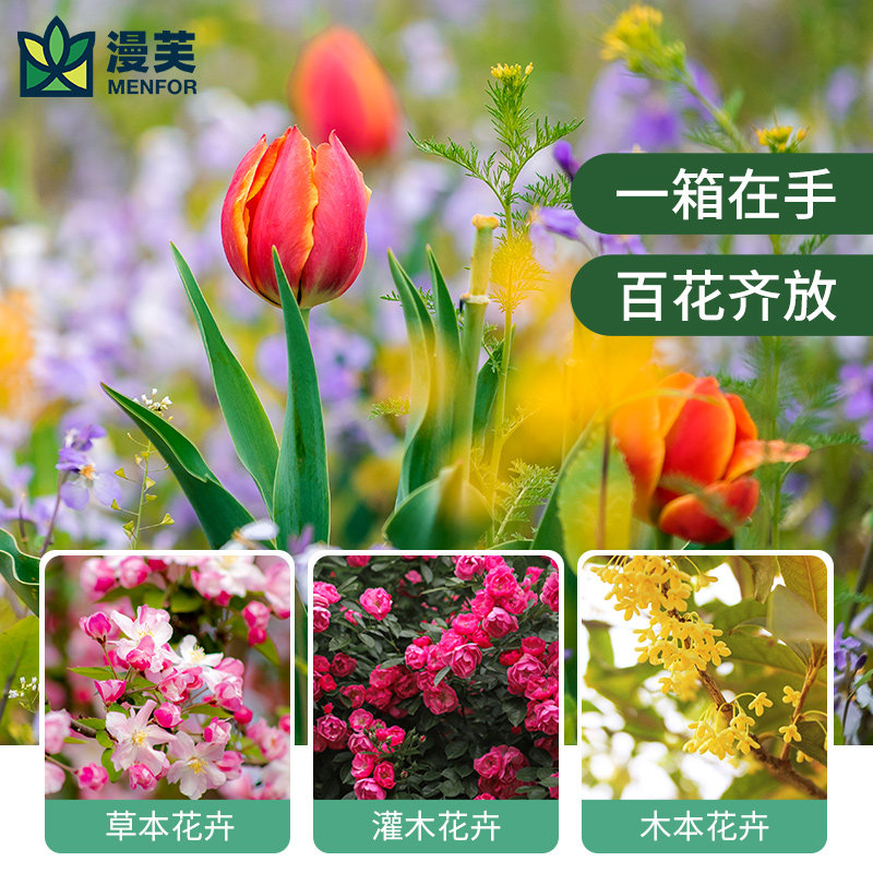 【原起点】种菜盆夏季种菜专用箱隔热防闷根吸水懒人家用阳台花盆
