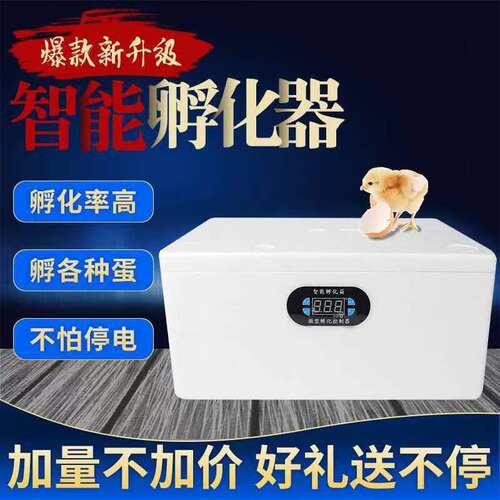孵化器家用全自动恒温水床孵化机智能小型孵蛋器小鸡芦丁鸡孵化箱
