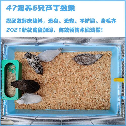 鸭子饲养盒鸭笼子家用小鸡柯尔鸭专用大号饲养箱室内笼子芦丁鸡小