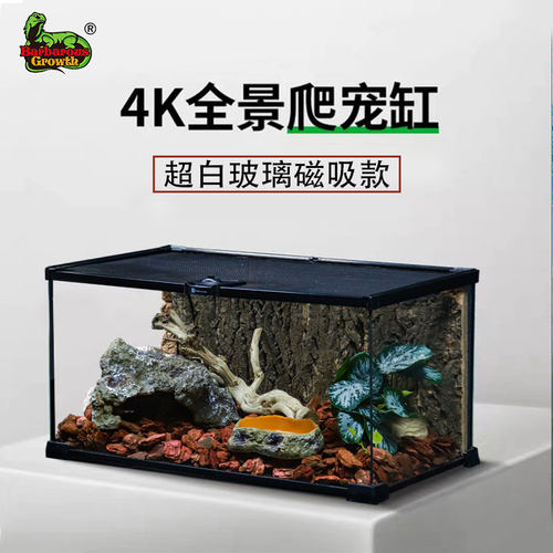 爬宠饲养箱生态雨林沙漠造景缸角蛙蜘蛛蜥蜴守宫饲养盒爬虫玻璃缸
