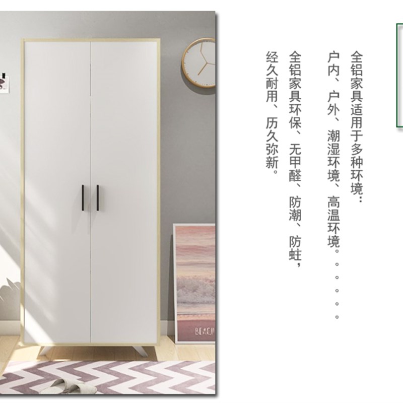 轻奢北欧全铝合金衣柜经济型储物收纳柜金属家具双门环保带脚
