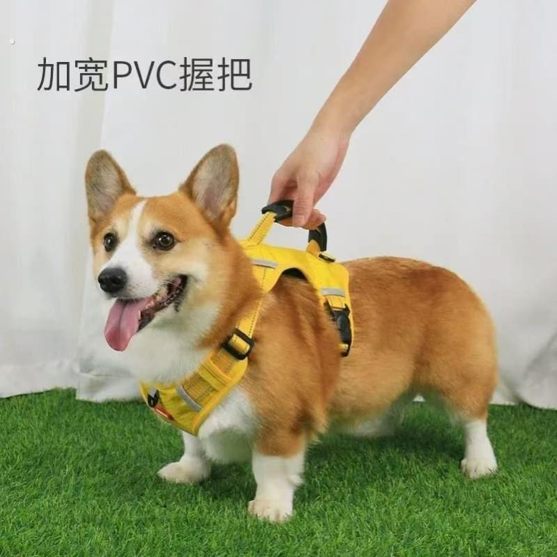 狗狗牵引绳手提背带胸背调节柯基背心柴犬遛狗大型犬雪纳瑞链子