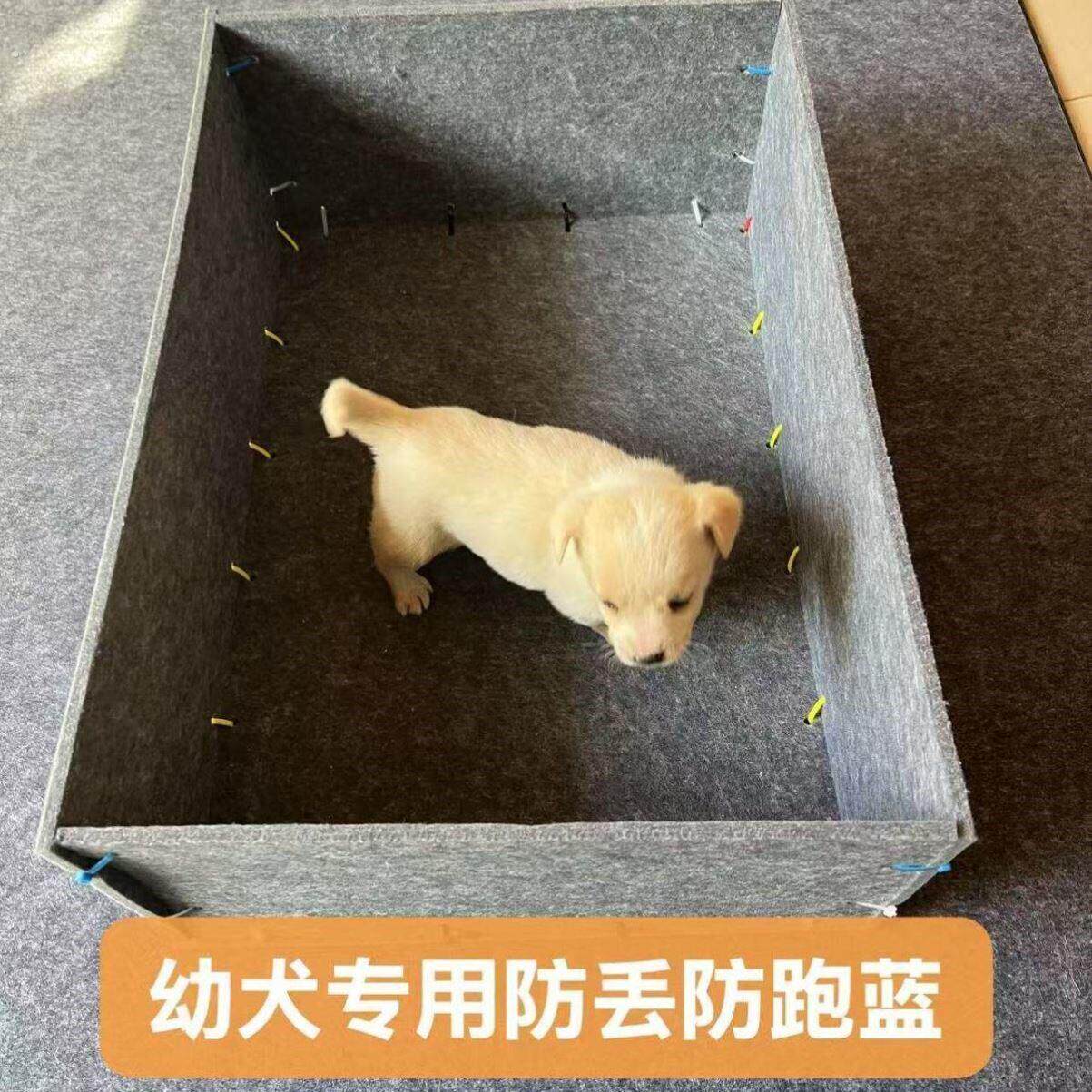 猫咪狗狗围栏组合四季通用加高设计待产窝可移动产仔窝防跑围栏