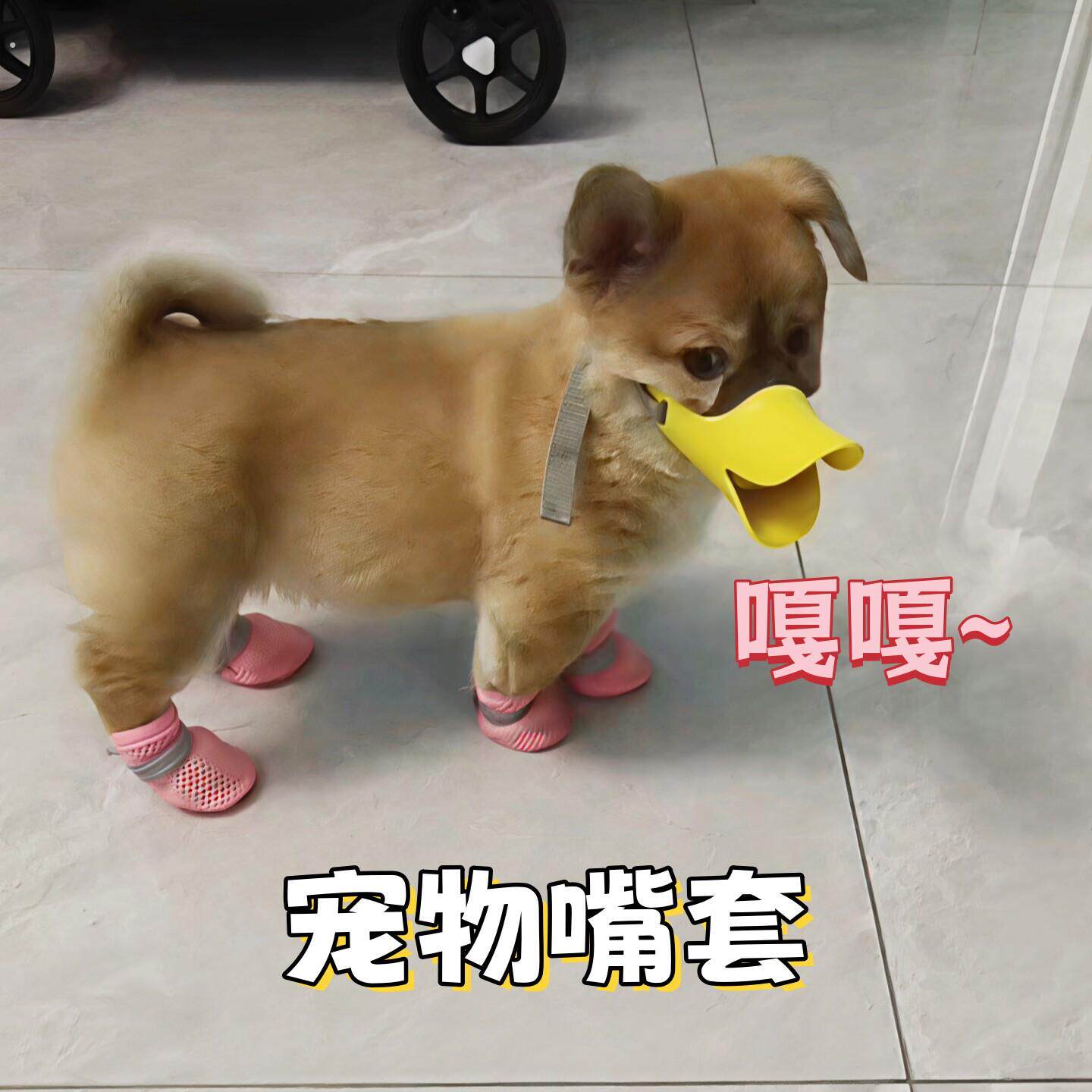 狗狗嘴套防咬防叫防乱吃神器狗口罩宠物鸭嘴套小型犬泰迪博美嘴罩
