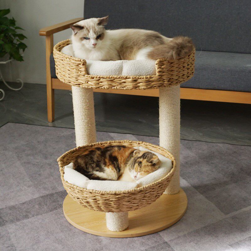 绿尚实木柱子藤编猫爬架猫窝猫树剑麻四季通用猫跳台猫抓板猫别墅