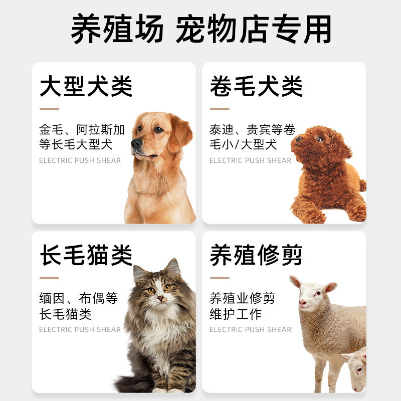 宠物剃毛器狗狗剃脚毛猫咪宠物店专用打薄修脚神器大功率电推剪
