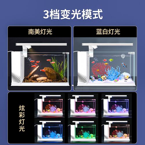 超白玻璃侧滤鱼缸南美风自循环生态客厅造景桌面斗鱼缸小型金鱼缸