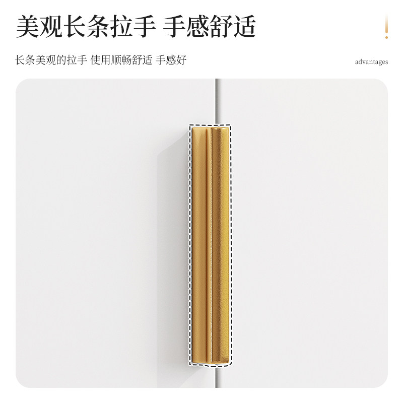 轻奢鞋柜家用门口鞋架经济型置物柜阳台储物柜子入门宿舍室内防尘