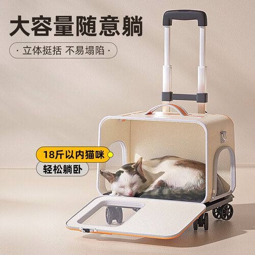 猫包便携外出拉杆箱猫咪大容量双肩背包狗包太空舱猫箱狗狗宠物包