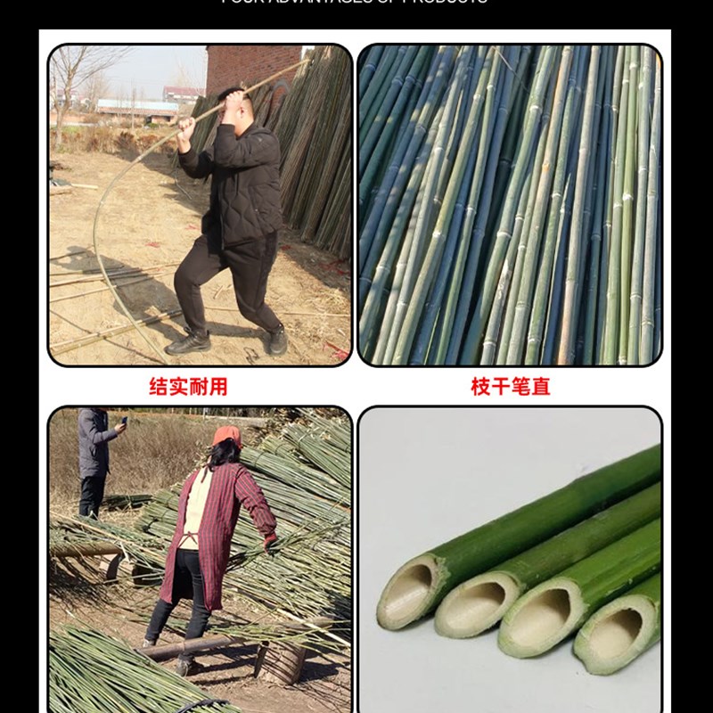 竹子竹竿菜园搭架爬藤架栅栏竹子杆豆角架黄瓜番茄小竹杆篱笆葡萄