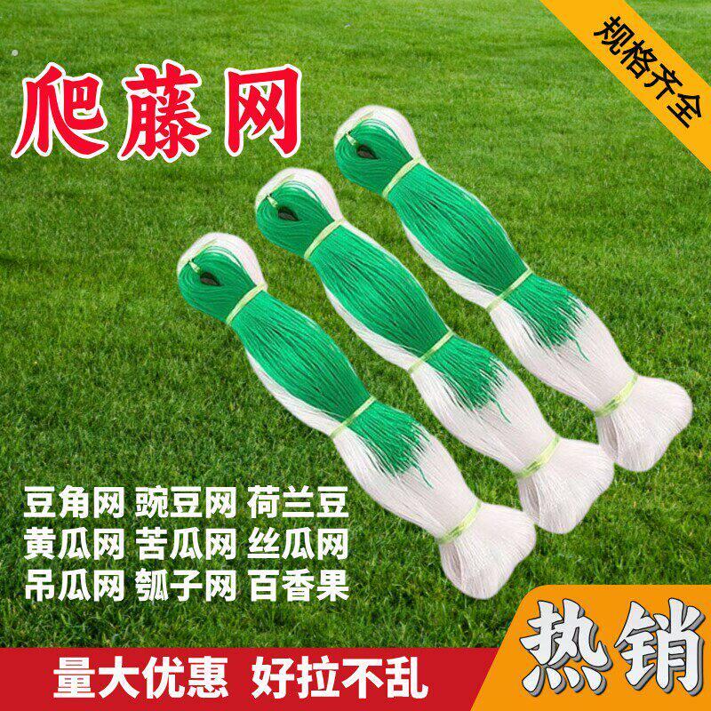 豇豆吊瓜丝瓜爬藤网苦瓜黄瓜豆角百香果专用网植物种植网攀爬农用