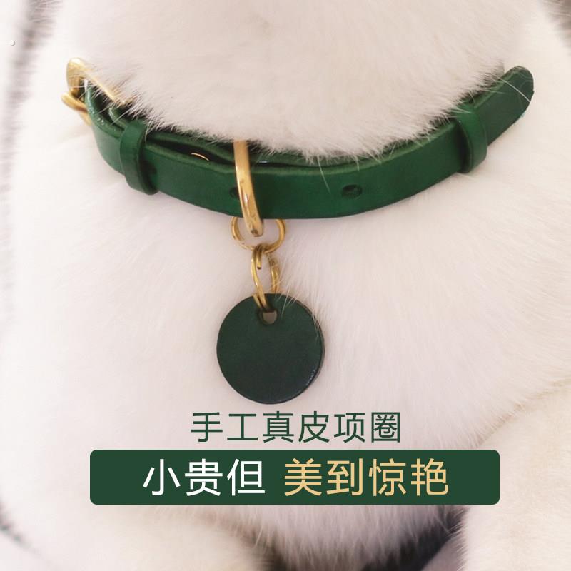 猫咪项圈狗狗项圈可爱猫牌项圈刻字小型犬泰迪柯基宠物猫颈圈饰品