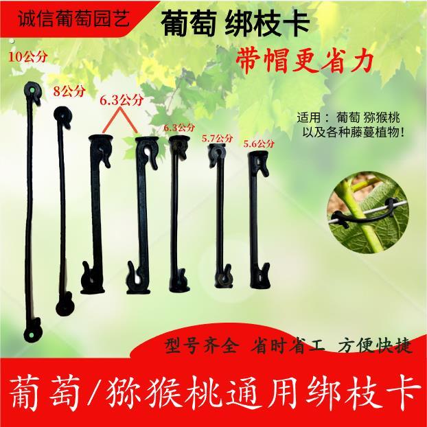 新款农用葡萄绑枝卡猕猴桃绑枝卡葡萄卡扣卡子葡萄绑枝扣