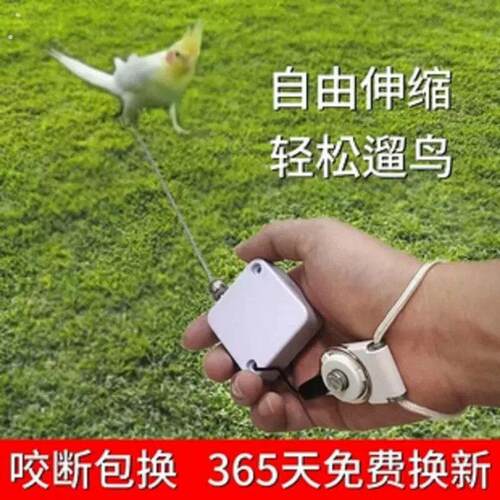 鹦鹉外出牵引绳自动伸缩脚环放飞绳不伤脚外出飞行遛鸟神器牡丹玄