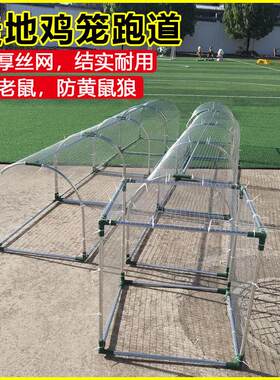 防黄鼠狼鸡笼网室外养鸡铁丝网家用散养鸡跑道新型围网设计