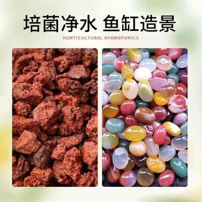 水培园艺用品大全植物营养液通用型天然河沙溪流石火山石鱼缸造景
