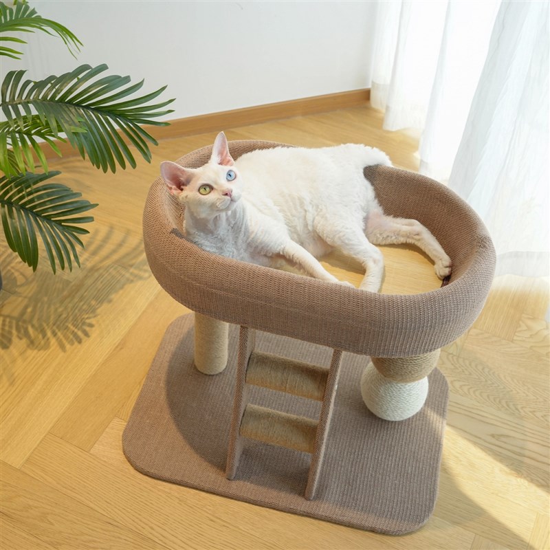 猫咪双层猫爬架猫窝一体剑麻小型矮脚猫抓板架子不占地猫抓柱玩具图片