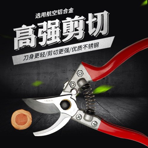 朱铁匠V8SK5园艺园林剪刀修枝剪整枝树枝剪花剪工具粗枝果枝剪