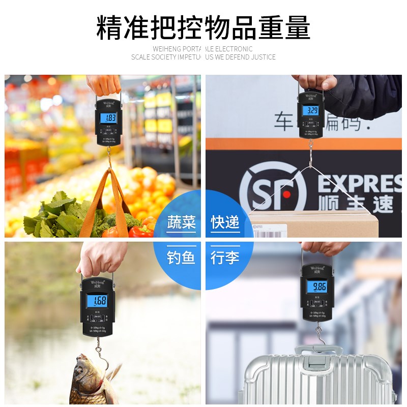 高精度手提秤电子秤小型称重手拎便携家用快递行李弹簧称鱼器钩称