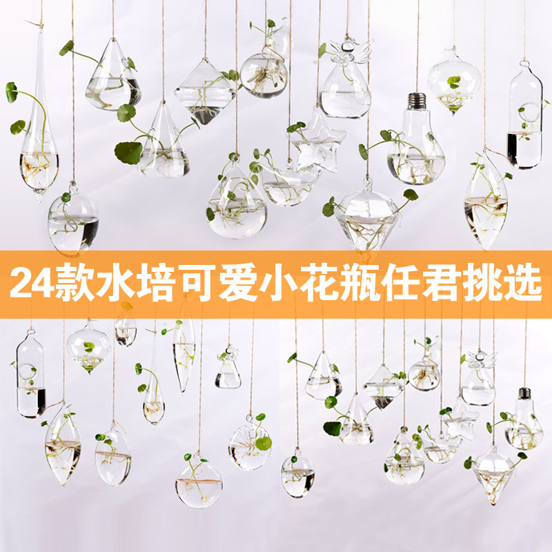 创意悬挂透明玻璃花瓶小吊瓶水培花器室内园艺家居装饰瓶植物套装