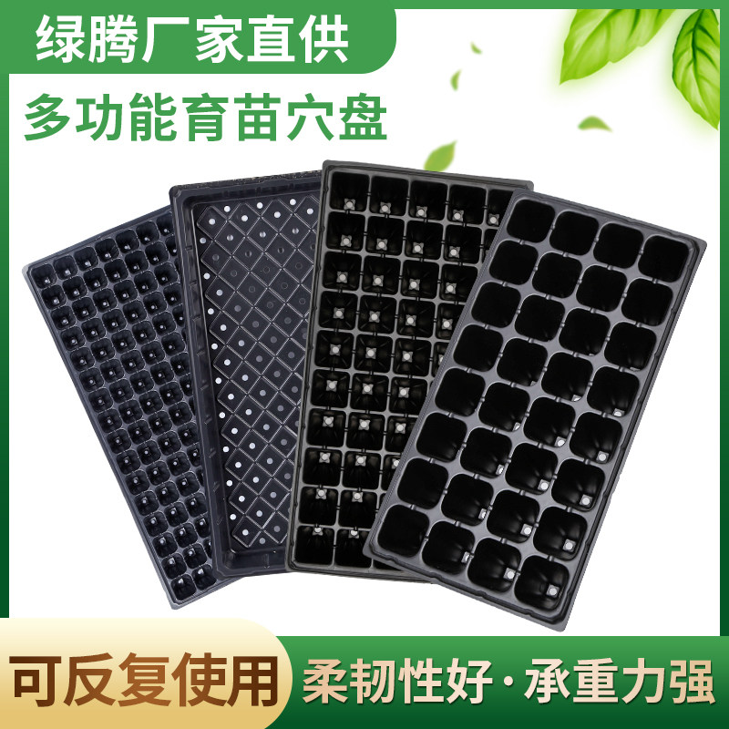 育苗穴盘多功能育苗盘加厚加高草莓育苗盒豆芽菜果蔬育苗盘营养钵
