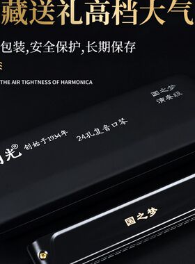国光国之梦演奏级口琴24孔28孔C调复音口琴成人专业演奏晋级高级