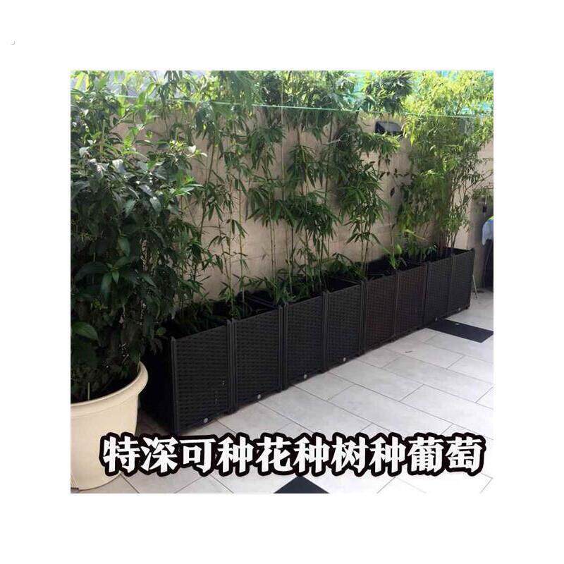 种竹子的专用盆阳台种菜盆家庭特大长条蔬菜种植箱长方果树葡萄