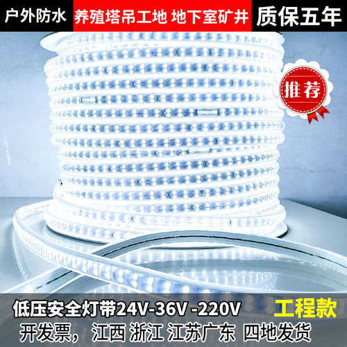 led灯带220V100米超亮防水户外养殖工程地下室低压24V36V太阳能款