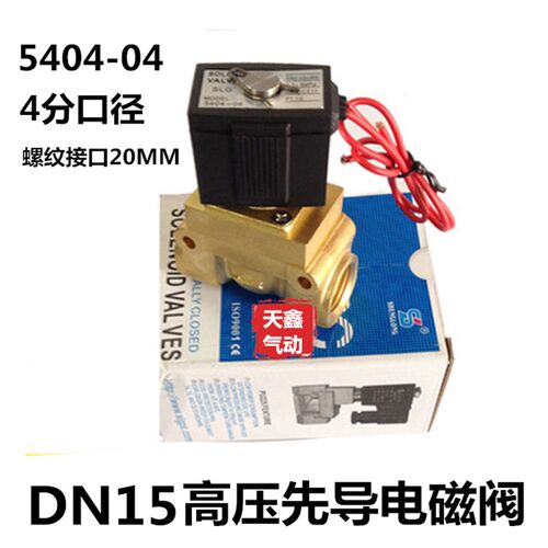 4分吹瓶机高压电磁阀 6分/1寸高压高温气阀 5404-04 AC220V DC24V