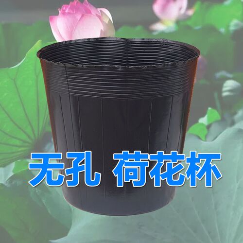 荷花盆加厚一次性黑色塑料无孔碗莲盆水生植物育苗盆睡莲盆营养钵