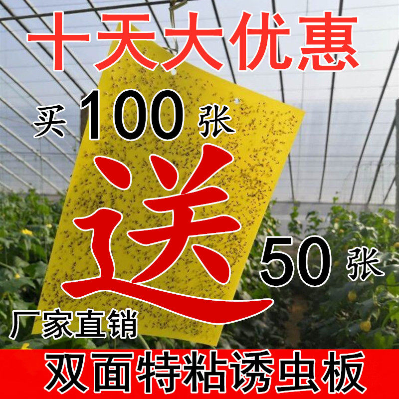 粘虫板黄板诱虫板纸贴双面沾黏蚊子杀小飞虫针蜂蓟马果蝇果园大棚