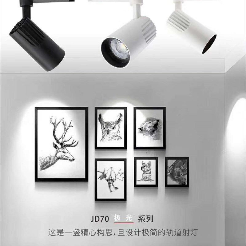 东雄led照明 30W轨道射灯 商用背景墙服装店 鞋店LED商用照明